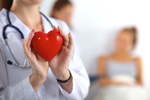 Support cardiovascular health